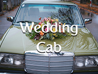 Wedding Cab